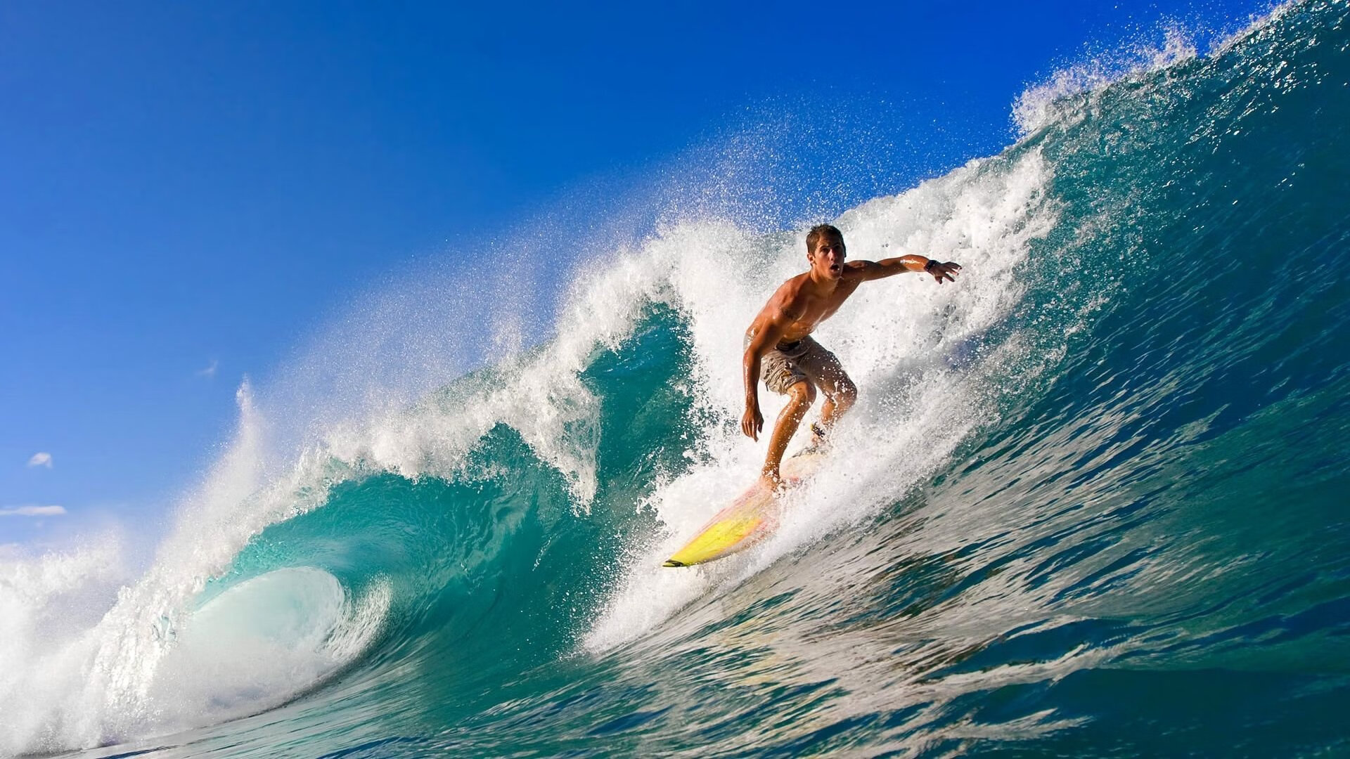 爱游戏真人体育娱乐-“南非羚羊队的防线铁卫：霍斯特的完美表现”